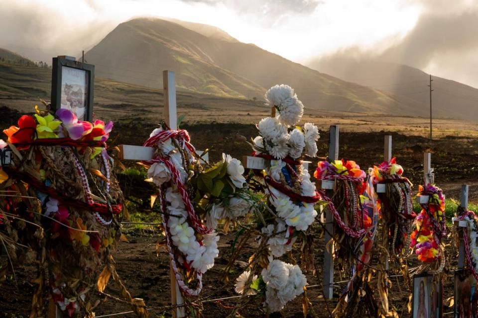 Leis and flowers adorn crosses at a memorial for victims of the August wildfire above the Lahaina Bypass highway (Copyright 2023 The Associated Press. All rights reserved.)