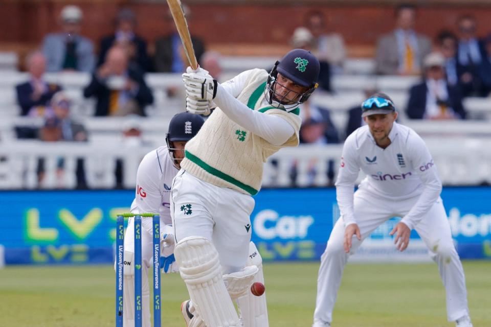 Fightback: Andy McBrine helped to restore some pride for resilient Ireland at Lord’s (Action Images via Reuters)