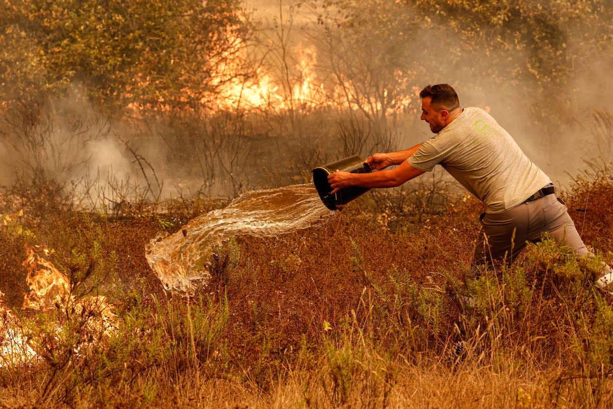 The fires started in the municipality of Odemira on Saturday (EPA)