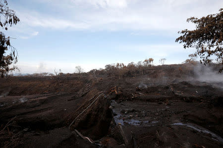 An area affected by a lahar from Fuego volcano is seen in El Rodeo, Guatemala June 13, 2018. REUTERS/Jose Cabezas