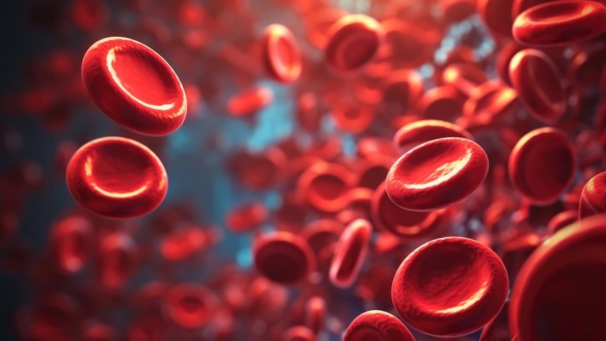  An artist's rendering of red blood cells. 