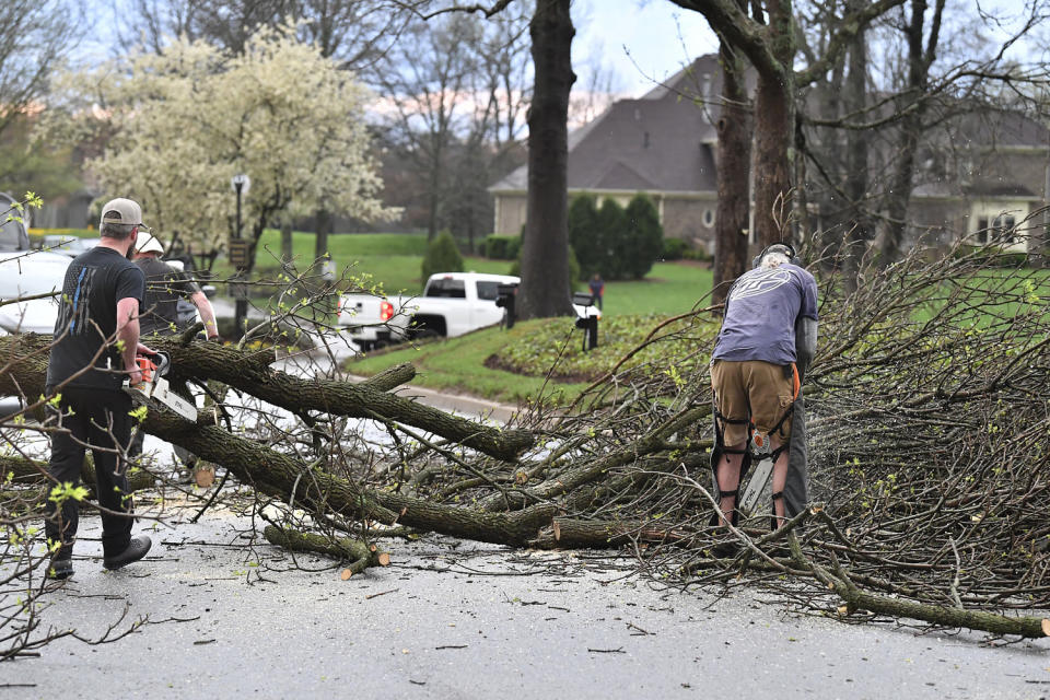 Workers cut up downed trees lying across the road in Prospect, Ky., Tuesday, April 2, 2024. (Timothy D. Easley / AP)
