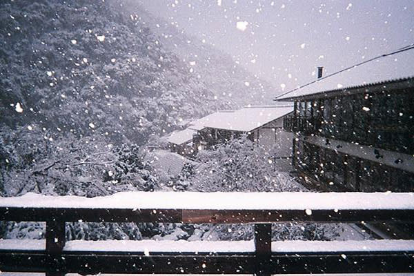 椎葉山莊坐擁山林美景，冬季雪景更是絕美極致 (圖片來源／椎葉山莊)