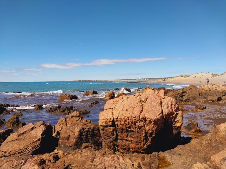 En la restinga, cuando baja la marea, quedan allí los pulpos; se pescan por medio de una técnica ancestral