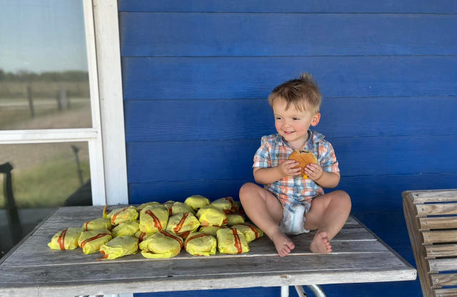 Au Texas, un enfant de 2 ans commande 31 cheeseburgers avec le téléphone  dévérouillé de sa mère