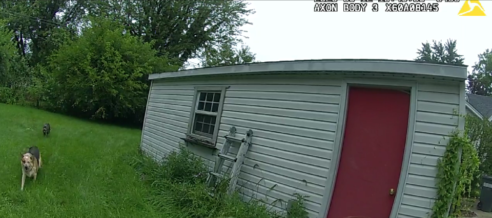 Rocko and Scarlet, Maggie Meldrum's dogs, are seen approaching St. Clair County Deputy Daniel Jehl in his body camera footage on Sept. 12, 2023 in Algonac.