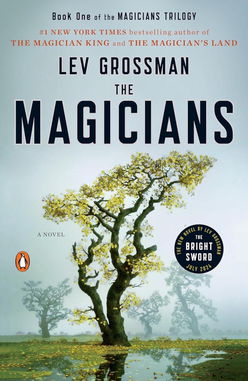 The cover of "The Magicians" by Lev Grossman.