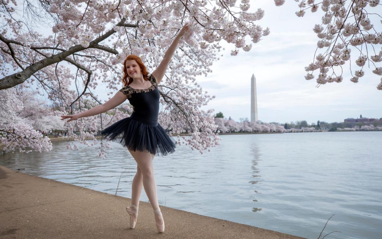 Tutu-wearing ballet dancer Abby Thompson of Burke, Virginia, poses en pointe for her sister Katie while visiting the peak blooming cherry blossoms along the Tidal Basin in Washington, DC,  - SHUTTERSTOCK