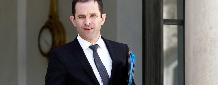 Benoît Hamon, le poil à gratter