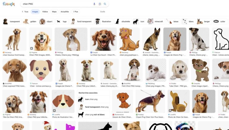 La page de résultats lorsque l'on tape "chiens PNG" sur Google. Cette capture d'écran, en revanche, est un JPEG, car les PNG c'est super lourd dans notre back-office.