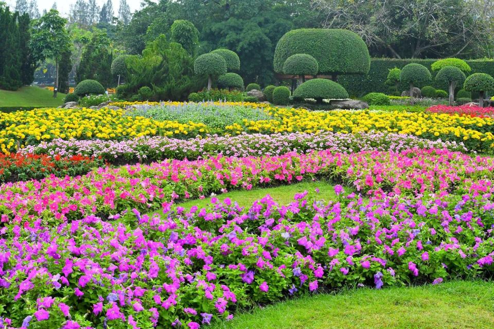 flower bed ideas divide by color