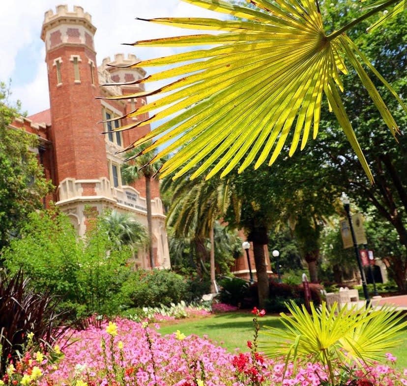 Florida State University's campus.