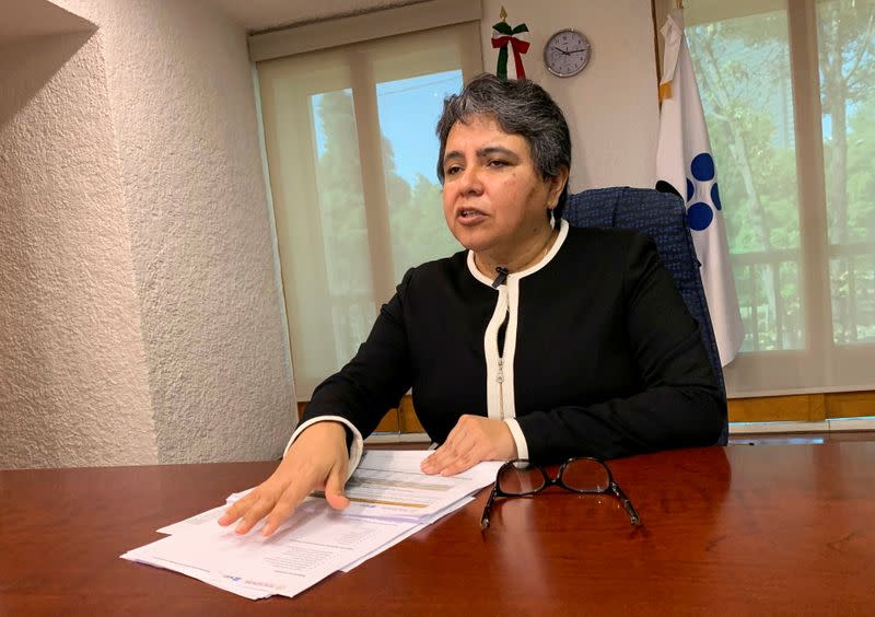 Head of the Mexico's Tax Administration Service (SAT) Raquel Buenrostro speaks during an interview with Reuters, in Mexico City