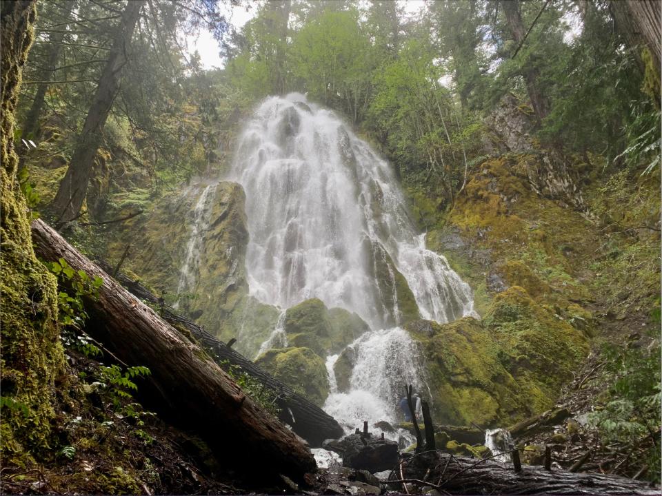 Moon Falls in Umpqua National Forest.