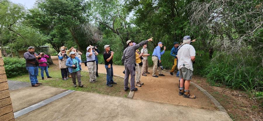 A group of birders visited Resaca de la Palma State Park in Brownsville, Texas, according to a social media post on Nov. 27, 2023. (Courtesy: Texas State Parks)