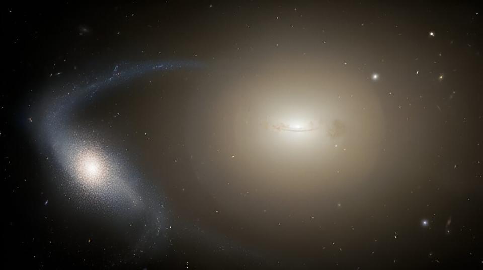 An illustration of a dwarf galaxy being disrupted by a larger galaxy which is rippintg away its stars