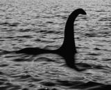 <p>Elusive in its nature, the Loch Ness Monster reportedly continues to live in the Scottish Loch Ness Lake and has <a href="https://www.popularmechanics.com/culture/g29995871/mythical-creatures/?slide=4" rel="nofollow noopener" target="_blank" data-ylk="slk:captivated the public for thousands of years;elm:context_link;itc:0;sec:content-canvas" class="link ">captivated the public for thousands of years</a>. </p>