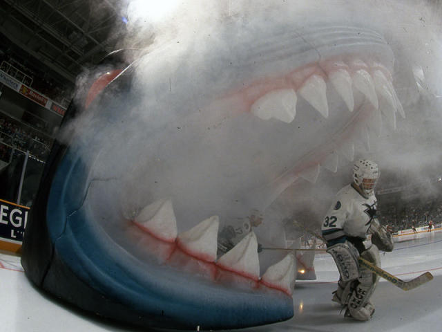 San Jose Jaws  San jose sharks, Shark, Hockey