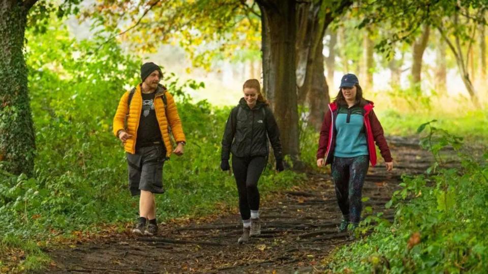 Three walkers following a path in woodland