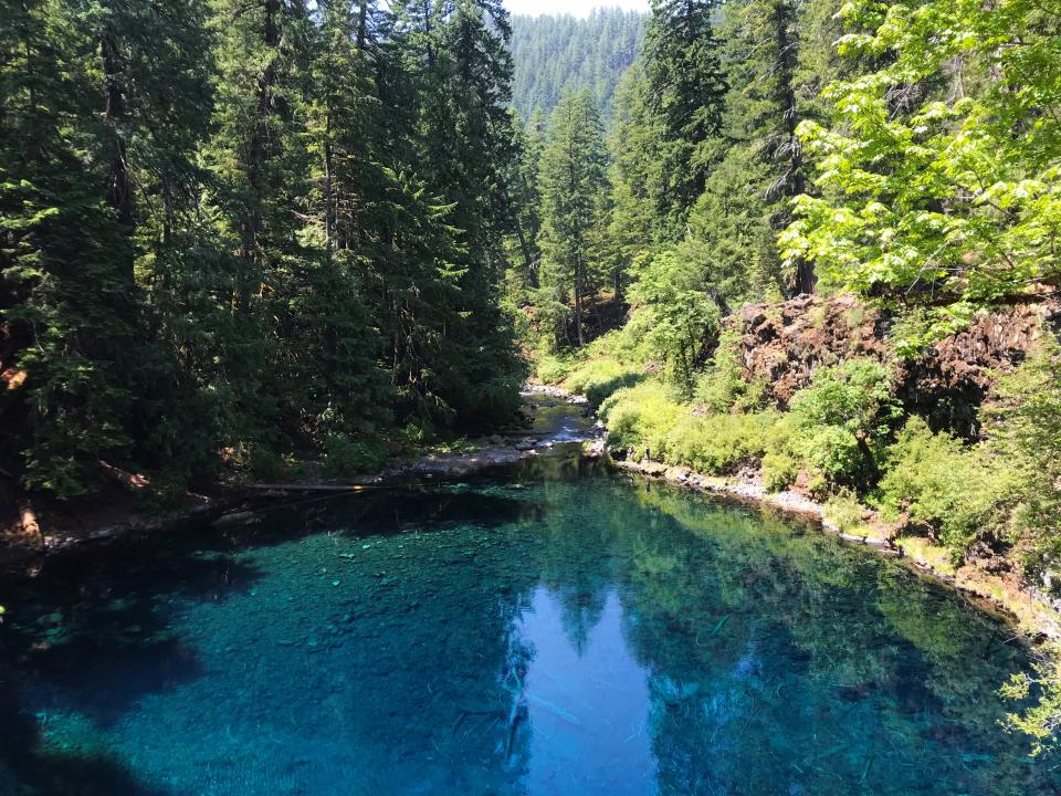The water at Tamolitch Falls, popularly known as Blue Pool, averages 37 degrees Fahrenheit, making swimming a bracing and potentially dangerous endeavor. Unconsciousness can set in within 15-30 minutes in water that cold.