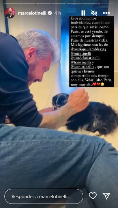 Marcelo Tinelli despidió a su perrita París, que lo acompañó durante 18 años (Foto: captura Instagram/@marcelotinelli)