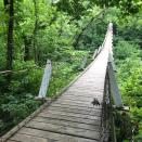 <p><strong>Swinging Bridge</strong></p><p>If you’re not afraid of heights, this <a href="https://www.traveliowa.com/destination/swinging-bridge/9114/" rel="nofollow noopener" target="_blank" data-ylk="slk:Swinging Bridge;elm:context_link;itc:0;sec:content-canvas" class="link ">Swinging Bridge</a> in Columbus Junction is 262 feet long and was originally built in 1886 (rebuilt in 1922). It’s an ideal destination for a hike that won’t take all day. </p>