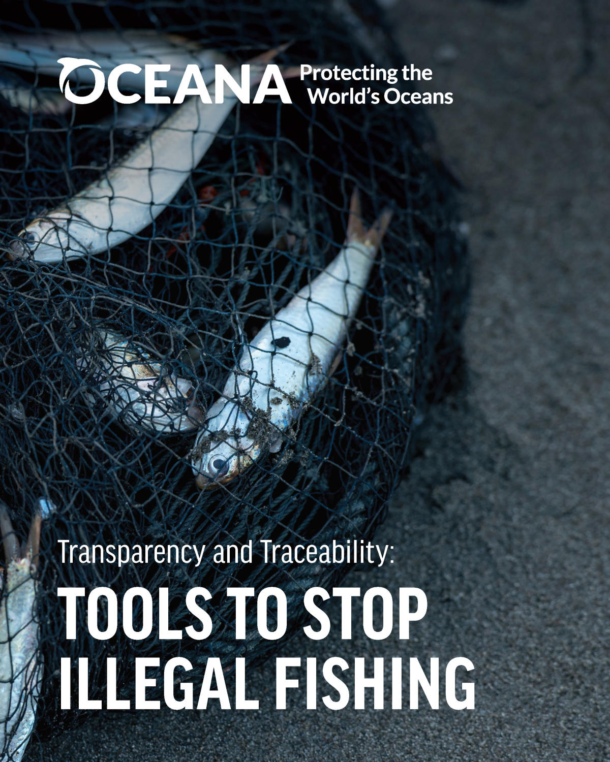Oceana Calls for U.S. Action to End Illegal Fishing & Seafood Fraud