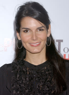 Angie Harmon at the Los Angeles premiere of Columbia Pictures' The Pursuit of Happyness