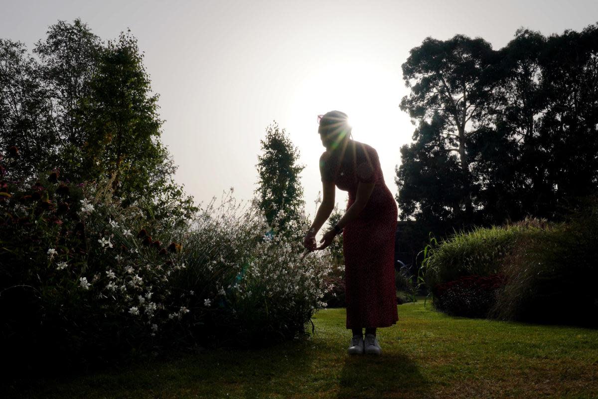 As summer approaches, electricity experts at NICIEC have revealed some tips to keep your garden safe as it warms up <i>(Image: PA)</i>