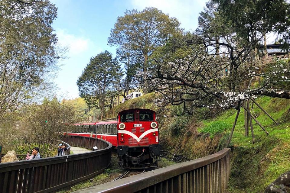  ▲嘉義阿里山周邊景點—阿里山小火車
（圖／Tripbaa趣吧！旅遊平台）
