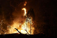 A bushfire is seen along Putty Road on November 15, 2019 in Colo Heights, Australia. The warning has been issued for a 80,000-hectare blaze at Gospers Mountain, which is burning in the direction of Colo Heights. An estimated million hectares of land has been burned by bushfire across Australia following catastrophic fire conditions - the highest possible level of bushfire danger - in the past week. A state of emergency was declared by NSW Premier Gladys Berejiklian on Monday 11 November and is still in effect, giving emergency powers to Rural Fire Service Commissioner Shane Fitzsimmons and prohibiting fires across the state. Four people have died following the bushfires in NSW this week. (Photo by Brett Hemmings/Getty Images)