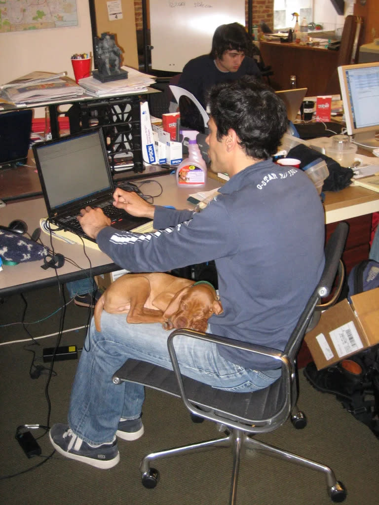 <b>Stoppelman</b> and puppy <b>Darwin</b> at work in Yelp’s early days [Photo: Yelp]