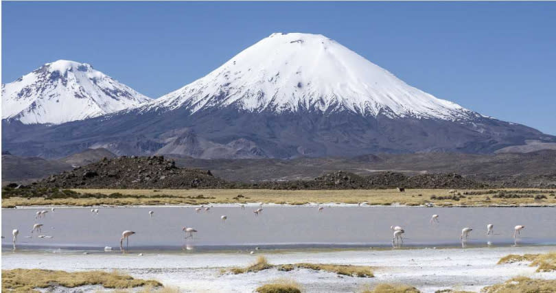日本山形縣「出羽三山」之一的月山，近來觀測到有大量雪藻繁殖。