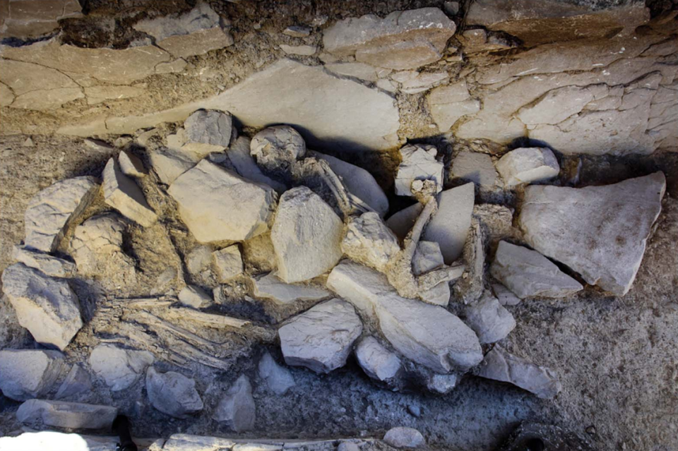 A skeleton buried at the Piedras Blancas grave.