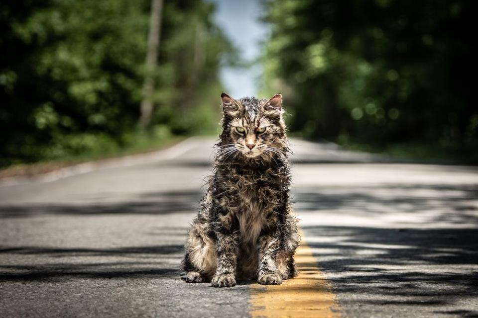 Pet Sematary: The untold story of the shrieking book cover