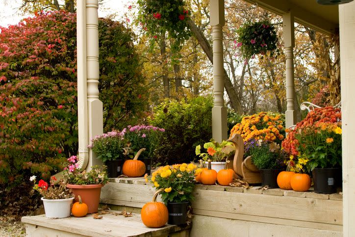 Here's How to Make Your Autumn Landscape Beautiful