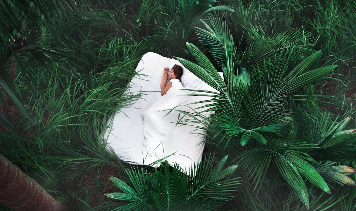 <a href="https://www.shutterstock.com/es/image-photo/hidden-place-sleeping-woman-deep-jungle-1108280270" rel="nofollow noopener" target="_blank" data-ylk="slk:Hlib Shabashnyi/Shutterstock;elm:context_link;itc:0;sec:content-canvas" class="link ">Hlib Shabashnyi/Shutterstock</a>