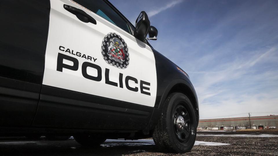 Calgary police investigators are in the process of collecting CCTV footage from the area of the assault. Anyone, including local residents or businesses, with CCTV footage is asked to contact police.  (Jeff McIntosh/The Canadian Press - image credit)