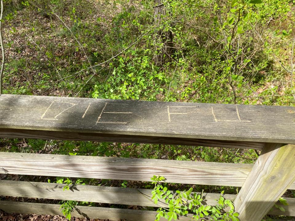 Racial slurs and other vandalism have been carved into this wooden bridge along an Iron Hill trail. Area residents said the vandalism has turned racial in the last six months.