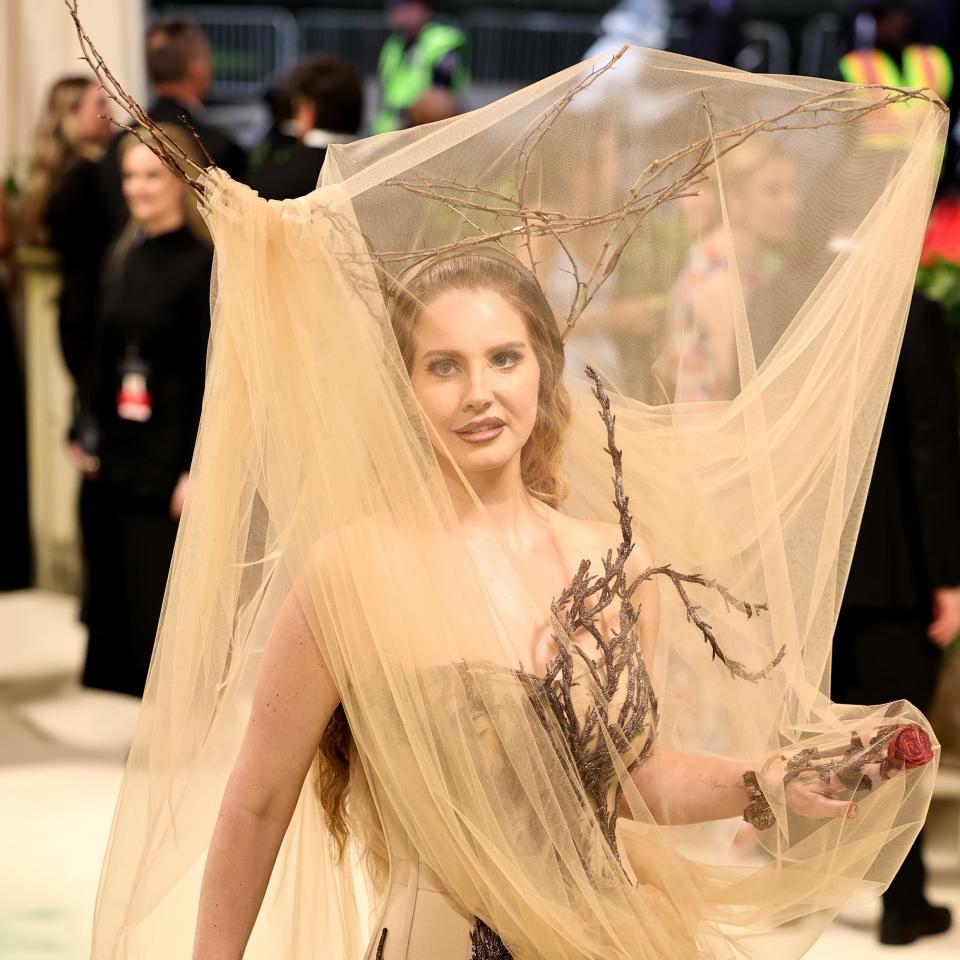 Person at event in a beige gown with branch-like embellishments and a sheer overlay