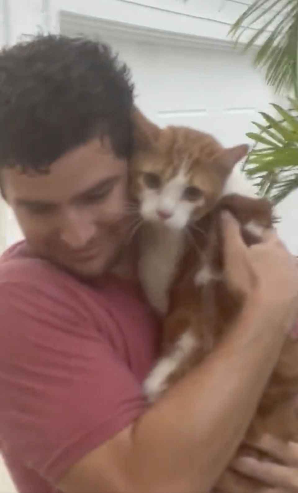 Megan Cruz Scavo’s boyfriend rescuing the cat (Megan Cruz Scavo)