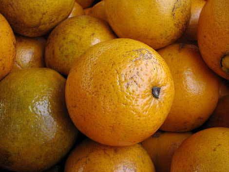 navel orange