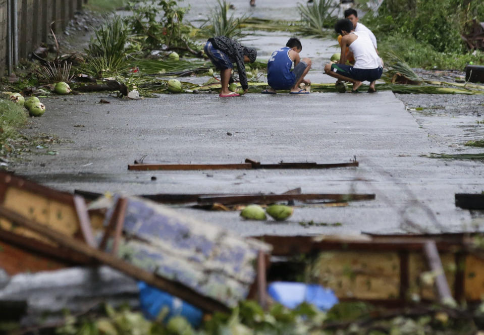 Residents collect coconuts which fell due to strong from Typhoon Mangkhut as it barreled across Tuguegarao city, Cagayan province, northeastern Philippines, Saturday, Sept. 15, 2018. Philippine officials were assessing damage and checking on possible casualties as Typhoon Mangkhut on Saturday pummeled the northern breadbasket with ferocious wind and rain that set off landslides, damaged an airport terminal and ripped off tin roofs. (AP Photo/Aaron Favila)