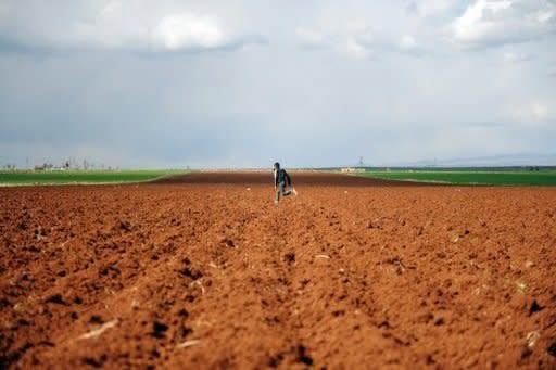 A young boy is seen running in a field at Viransehir in Urfa. Kurdish people are building their own village near Viransehir city, using the stones they cut from volcanic rocks that can be found all around. Democratic Society Congress (DTK), an umbrella organization for local Kurdish groups in southeast Turkey, and an activist, Metin Yegin, jointly organize the project