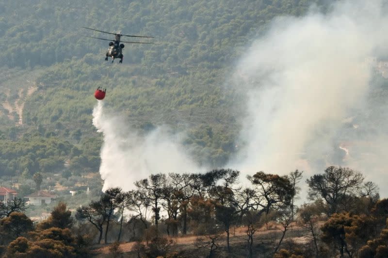 Wildfire near the village of Galataki