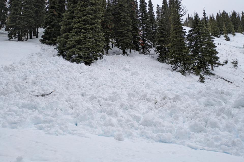 An image of the slide on Nertz run.<p>Northwest Avalanche Center</p>