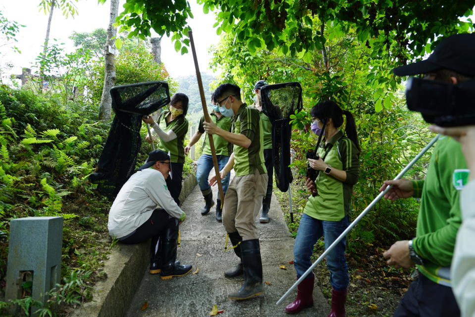 動物被麻醉後保定中。圖/台北市立動物園提供