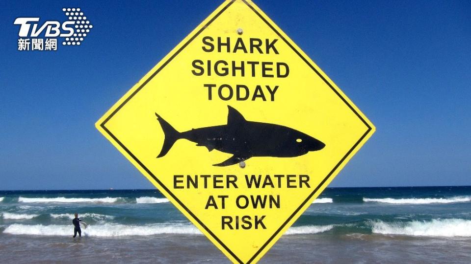澳洲雪梨海邊立有鯊魚警示牌，示意潛客當心「後果自負」。（圖／達志影像路透社）