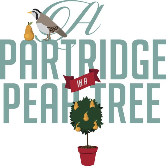 An illustration show a partridge in a pear tree