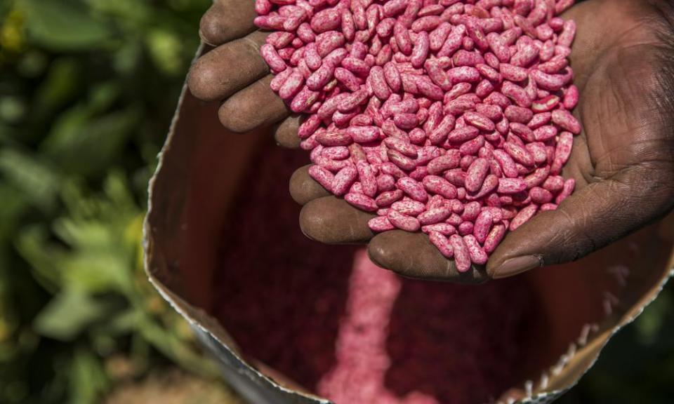 A farmer handles a bag of Syngenta AG bean seeds in Johannesburg, South Africa.